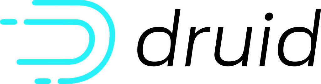 Apache Druid Primary logo