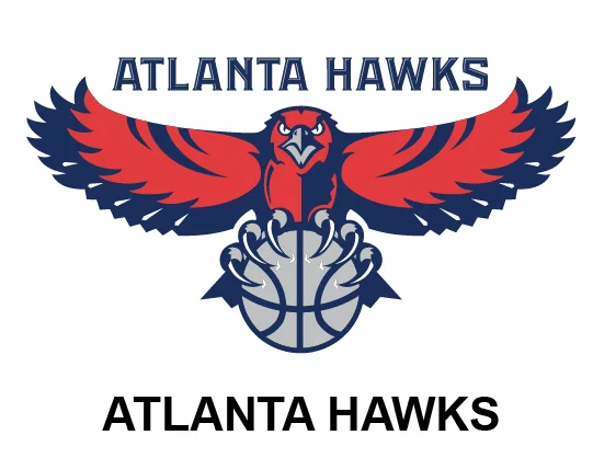 Atlanta hawks