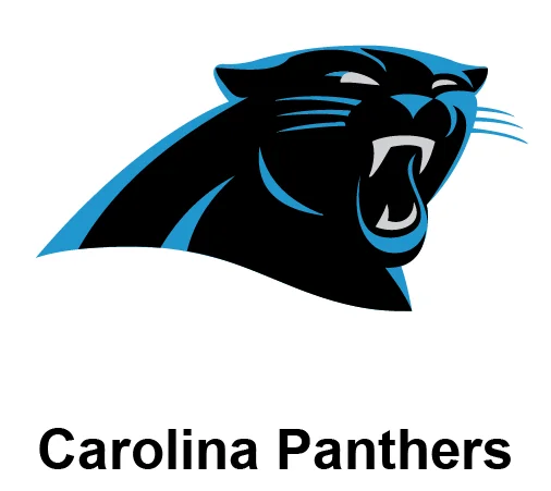 NFL Carolina Panthers